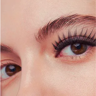 Lash Tint Service